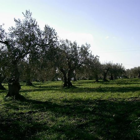 Agriturismo Baglio Calanchi Модика Экстерьер фото