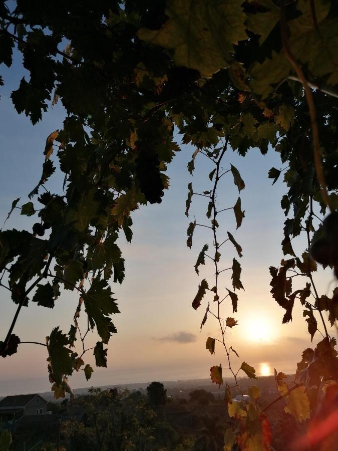 Agriturismo Baglio Calanchi Модика Экстерьер фото