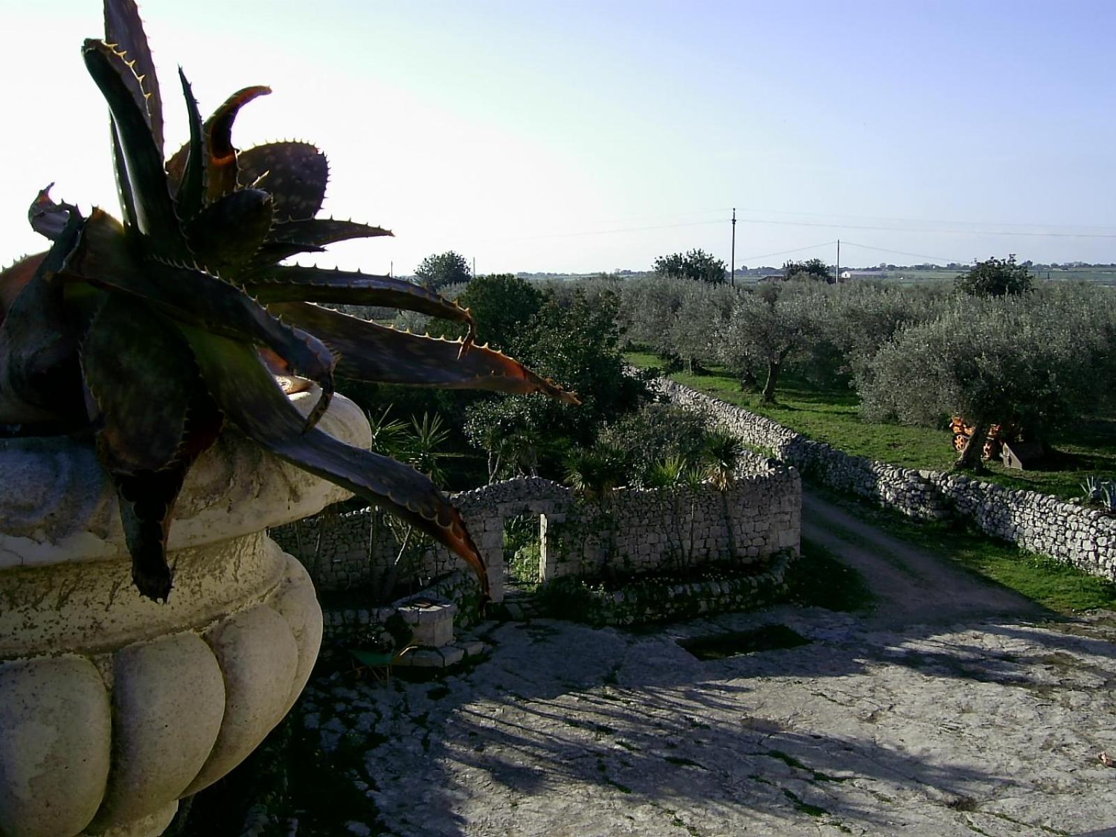Agriturismo Baglio Calanchi Модика Экстерьер фото